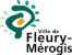 Ville Fleury